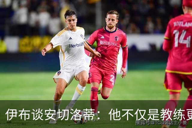 伊布谈安切洛蒂：他不仅是教练更是管理者 执教巴西对他是挑战